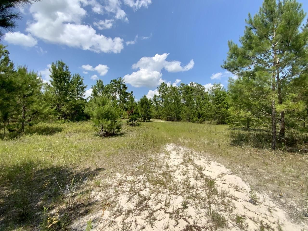 21.15 acres in Madison County, Florida