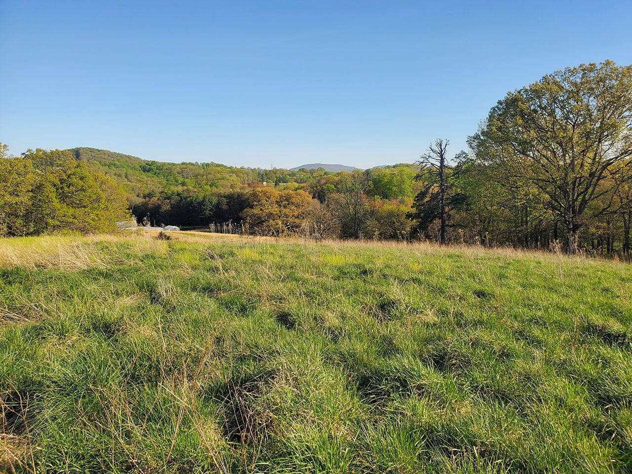 60.5 acres in Franklin County, Virginia