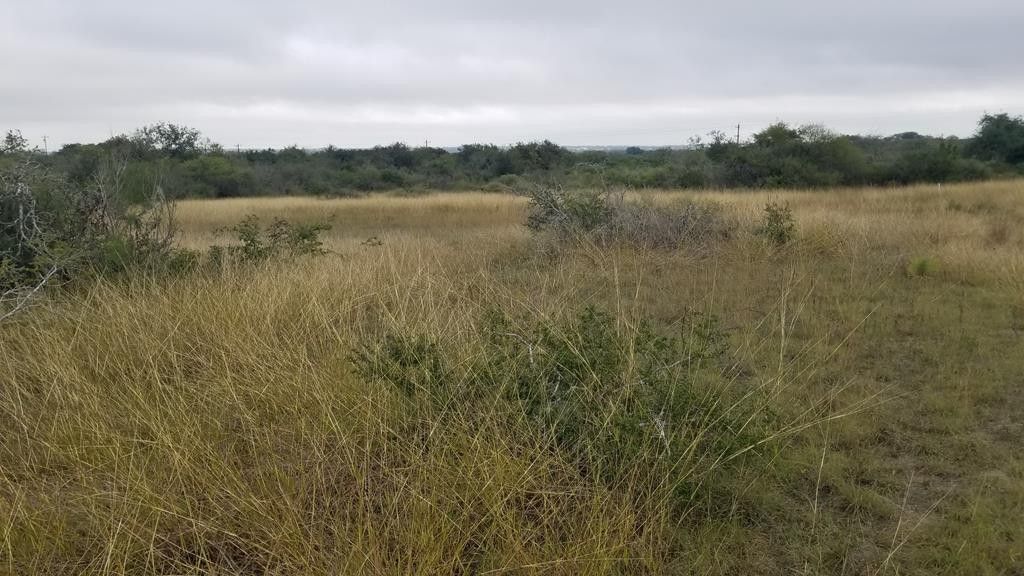 5 acres in Bee County, Texas