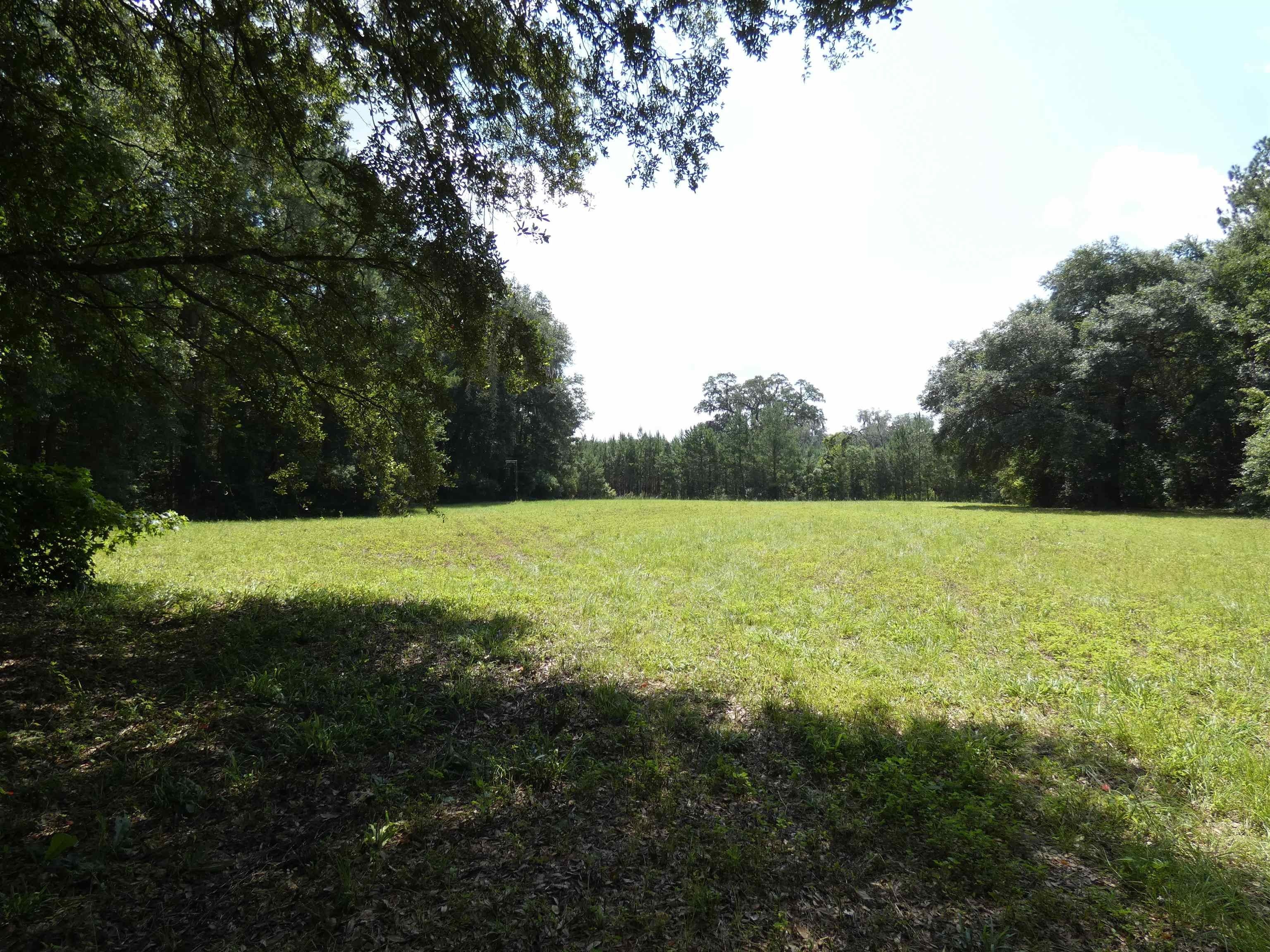 23.15 acres in Jefferson County, Florida