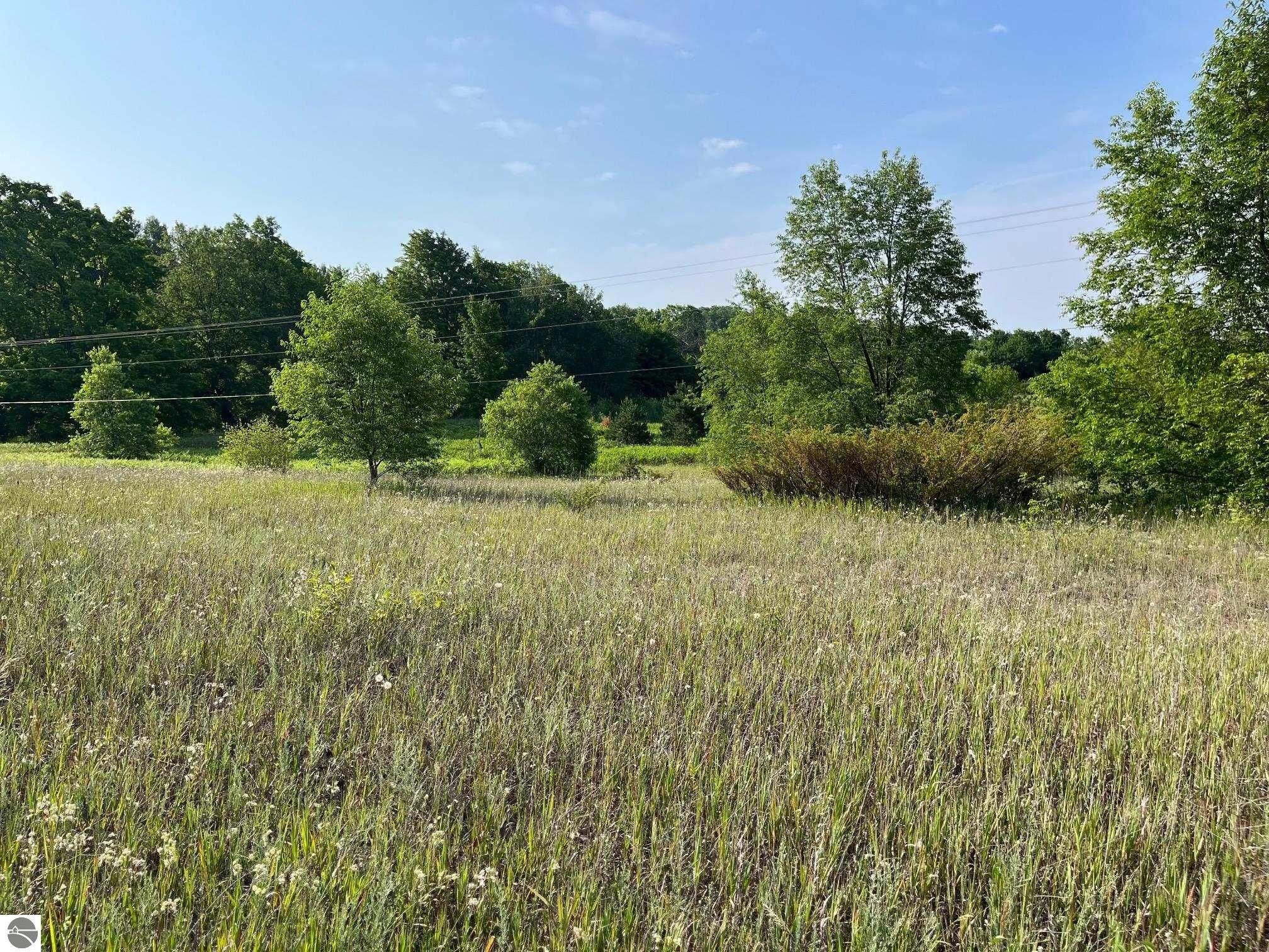 10 acres in Manistee County, Michigan