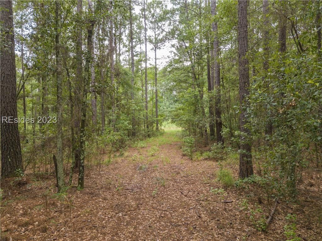 6 acres in Jasper County, South Carolina