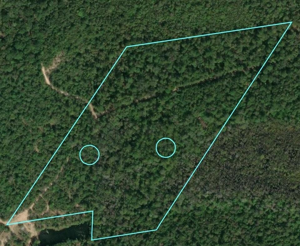 17 acres in Newton County, Texas