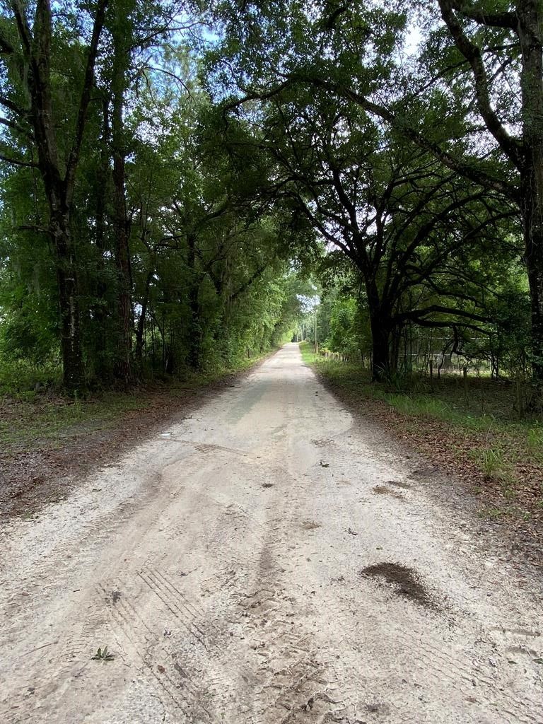 13.2 acres in Lafayette County, Florida