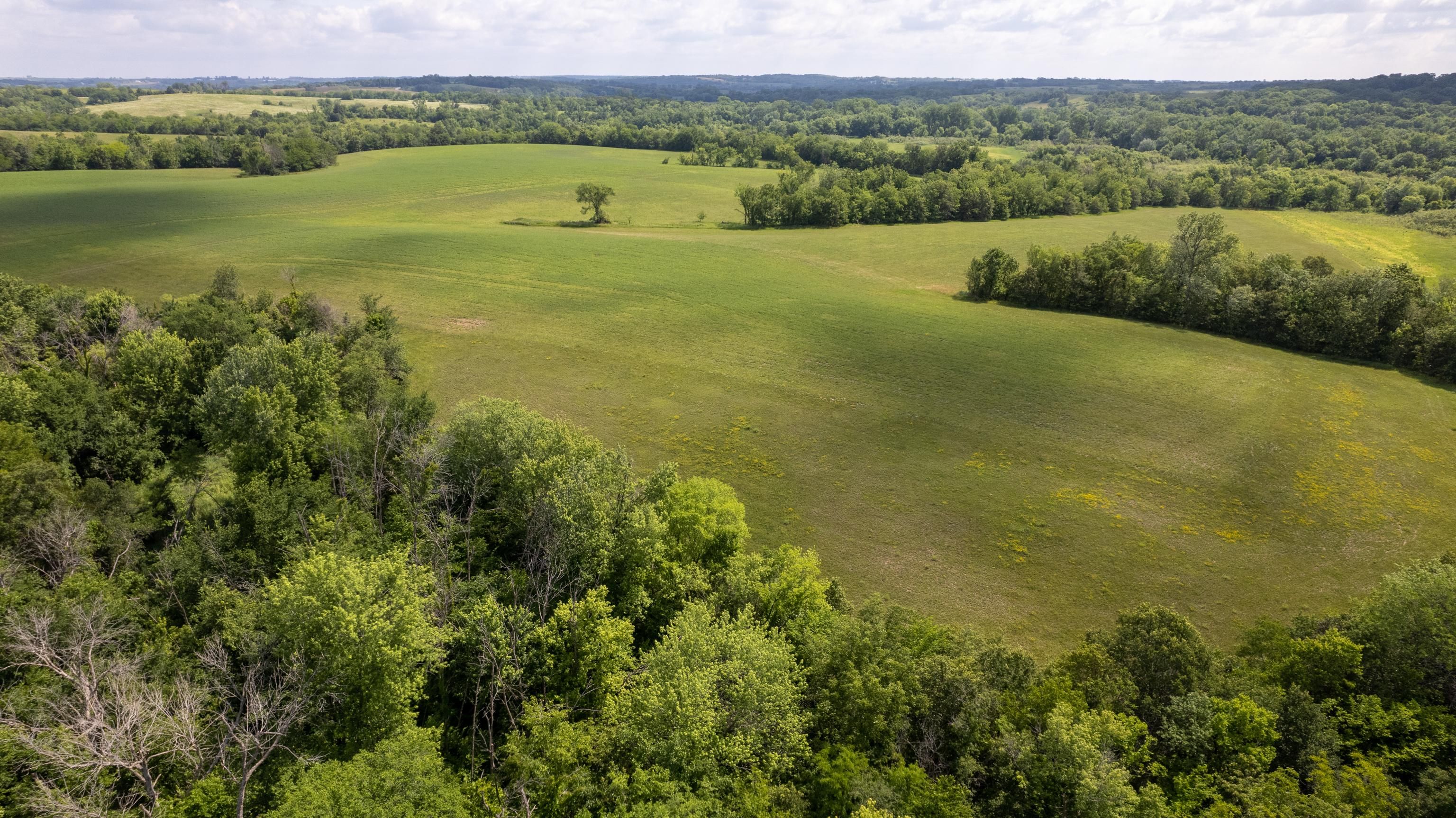 255 acres in Monroe County, Iowa