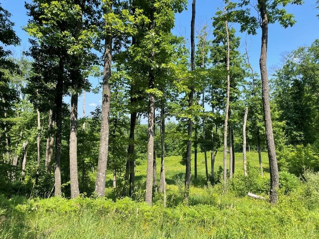40 acres in Sauk County, Wisconsin