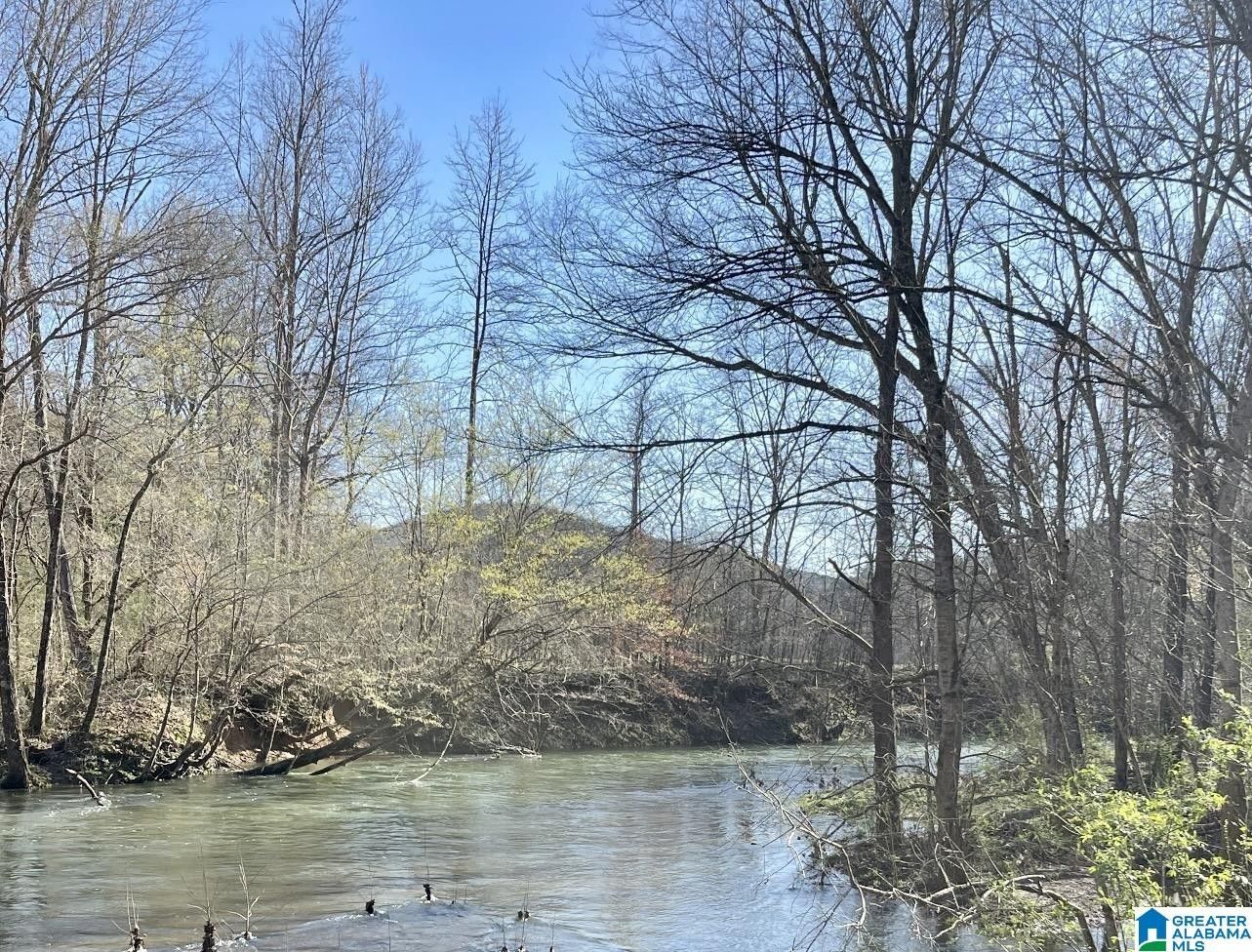 300 acres in Blount County, Alabama