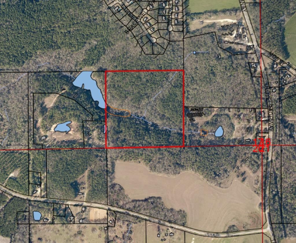 40 acres in Pike County, Alabama