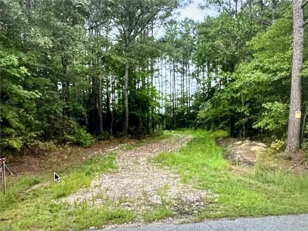 41.46 acres in Suffolk City County, Virginia