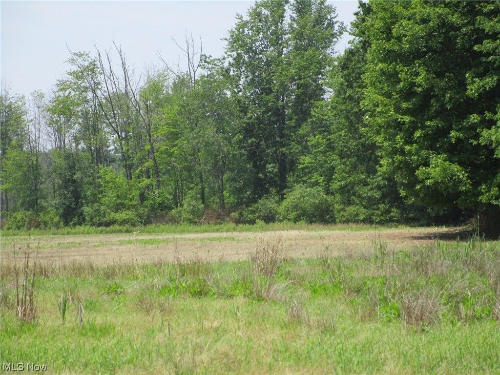 119 acres in Ashtabula County, Ohio