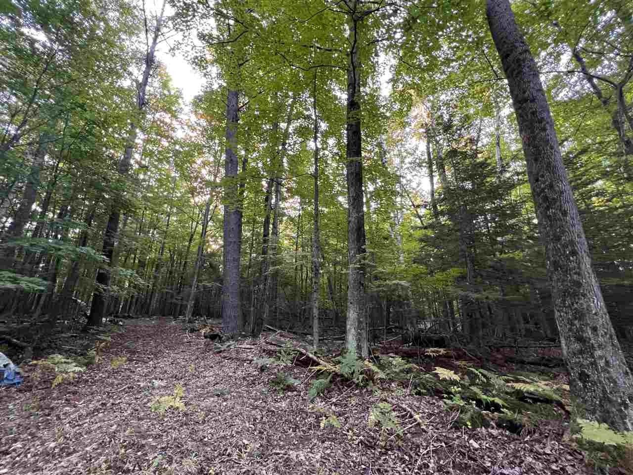 10 acres in Charlevoix County, Michigan