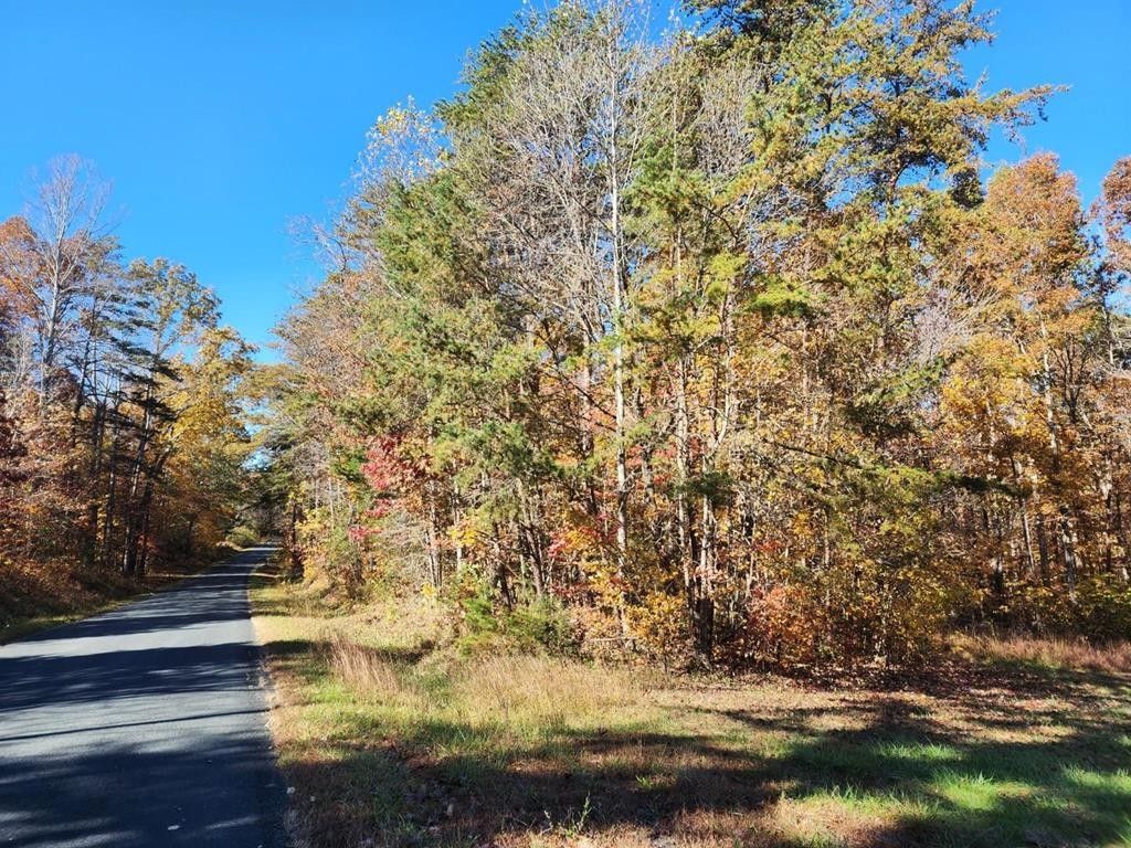 12.23 acres in Appomattox County, Virginia