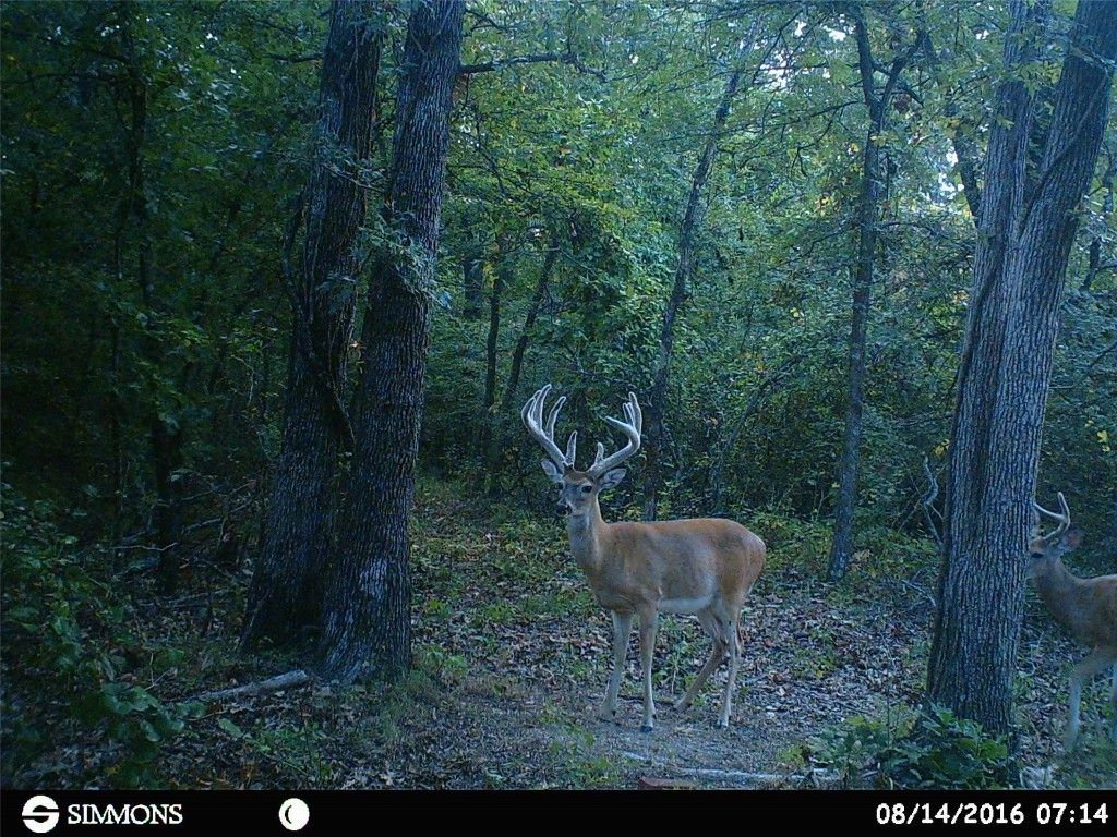 80 acres in Hughes County, Oklahoma