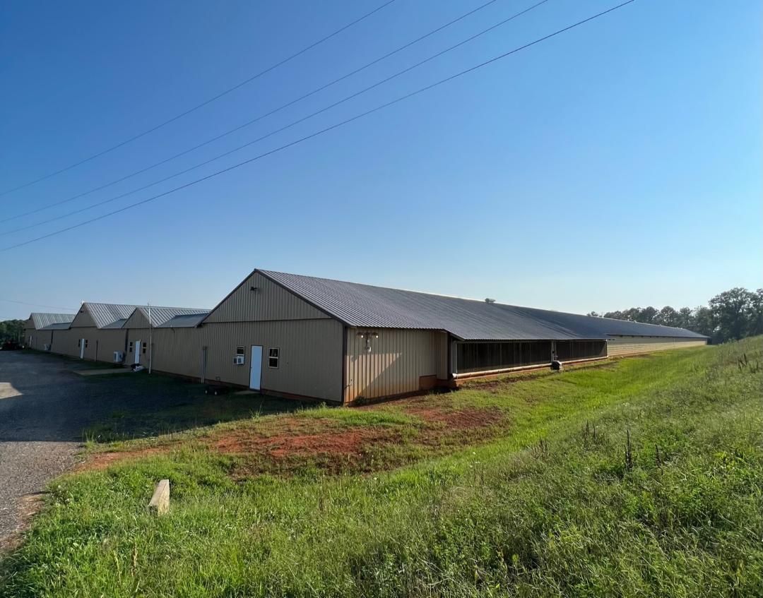 8 acres in Brundidge, AL, 36010 MLS 25119