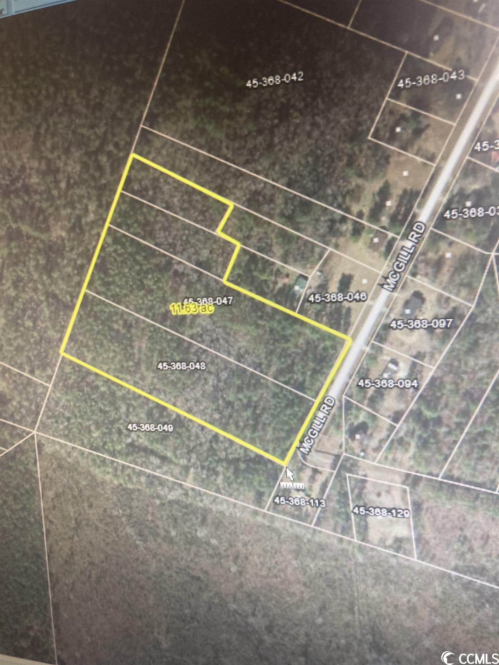 12.3 acres in Williamsburg County, South Carolina