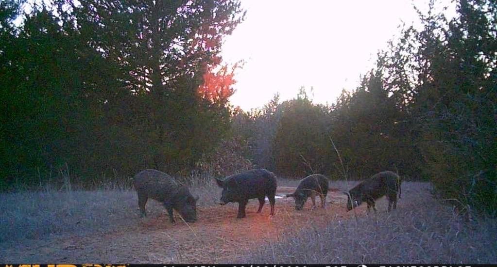 85 acres in Johnston County, Oklahoma