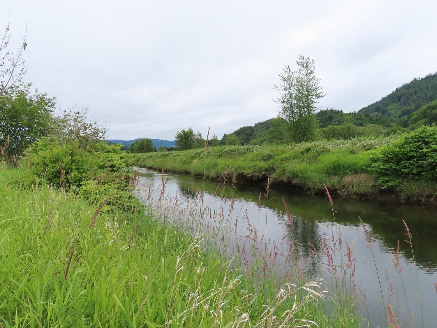 41 acres in Wahkiakum County, Washington