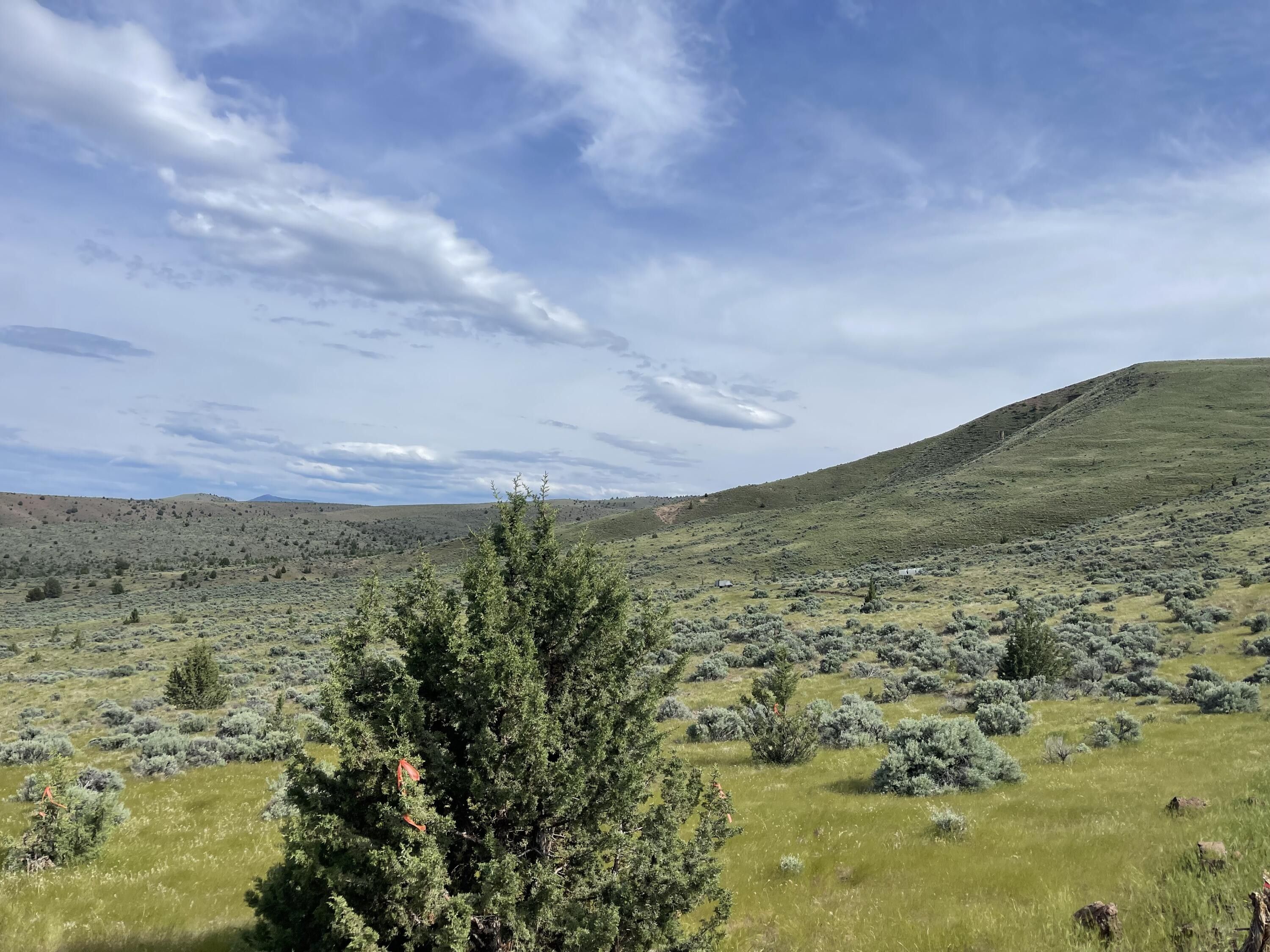 10 acres in Wheeler County, Oregon