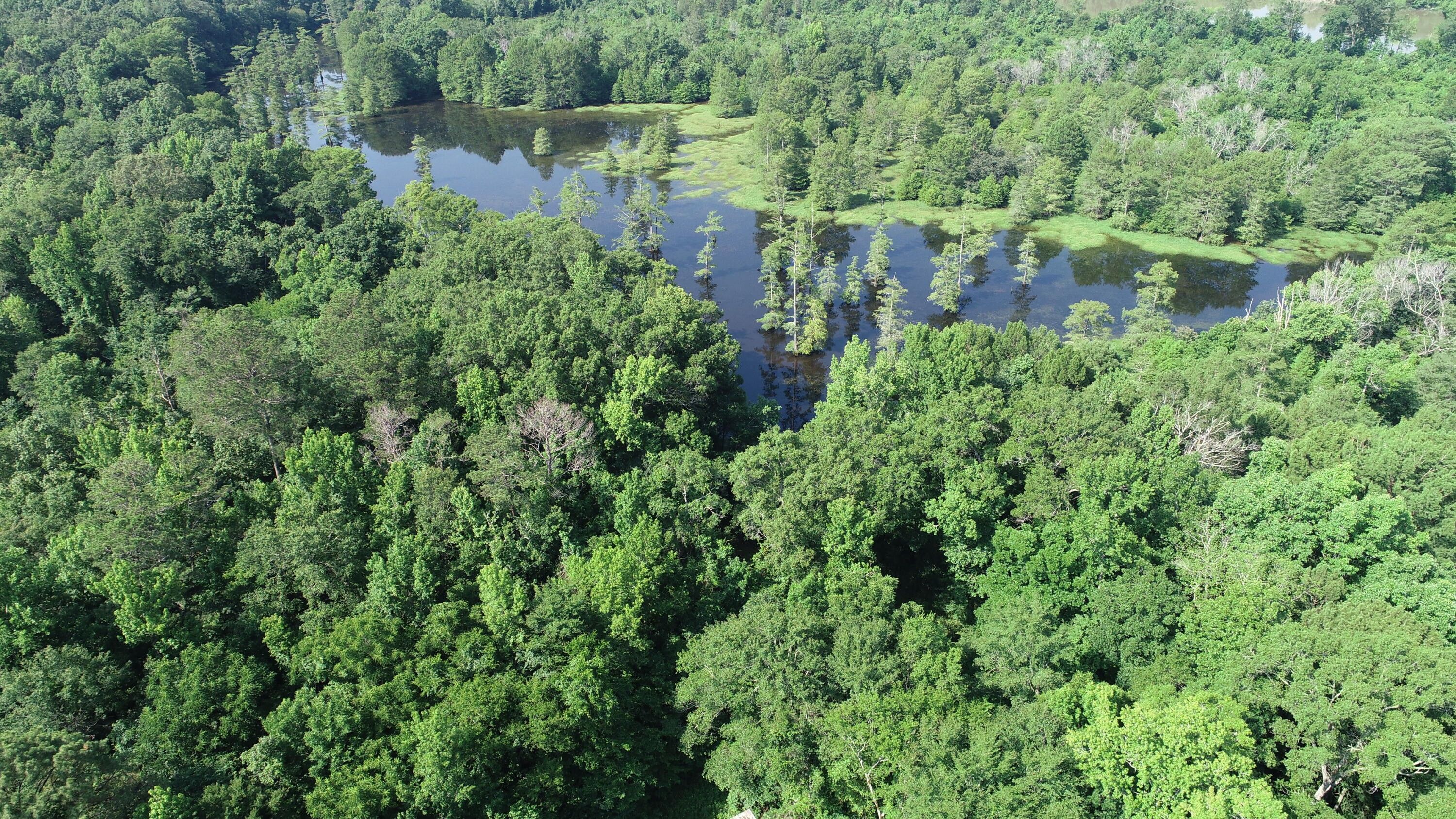 1,821 acres in Lowndes County, Mississippi
