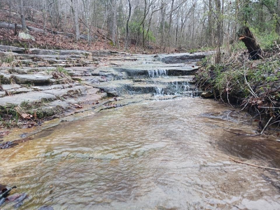 60.1 acres in Wright County, Missouri