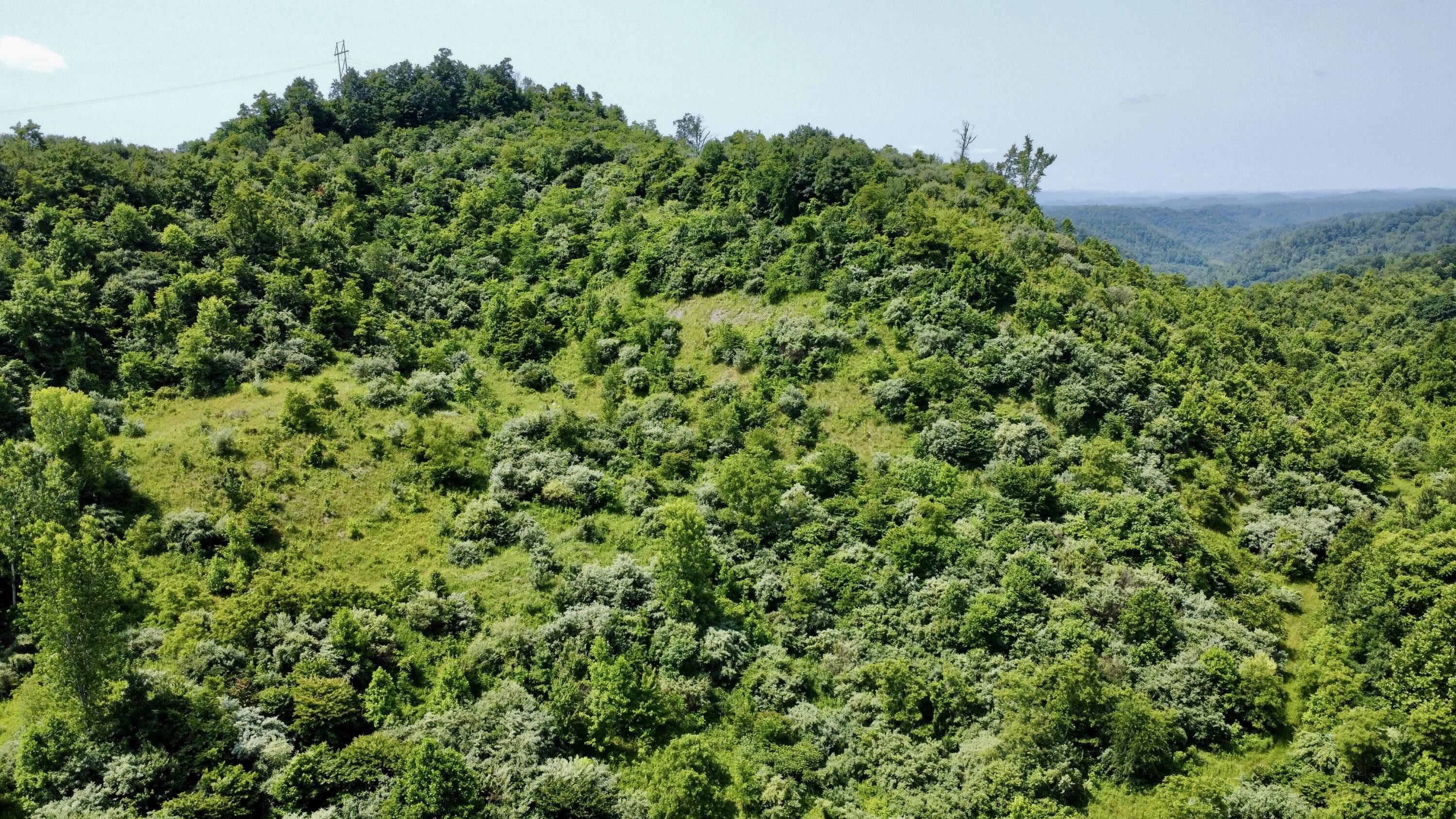 240 acres in Letcher County, Kentucky