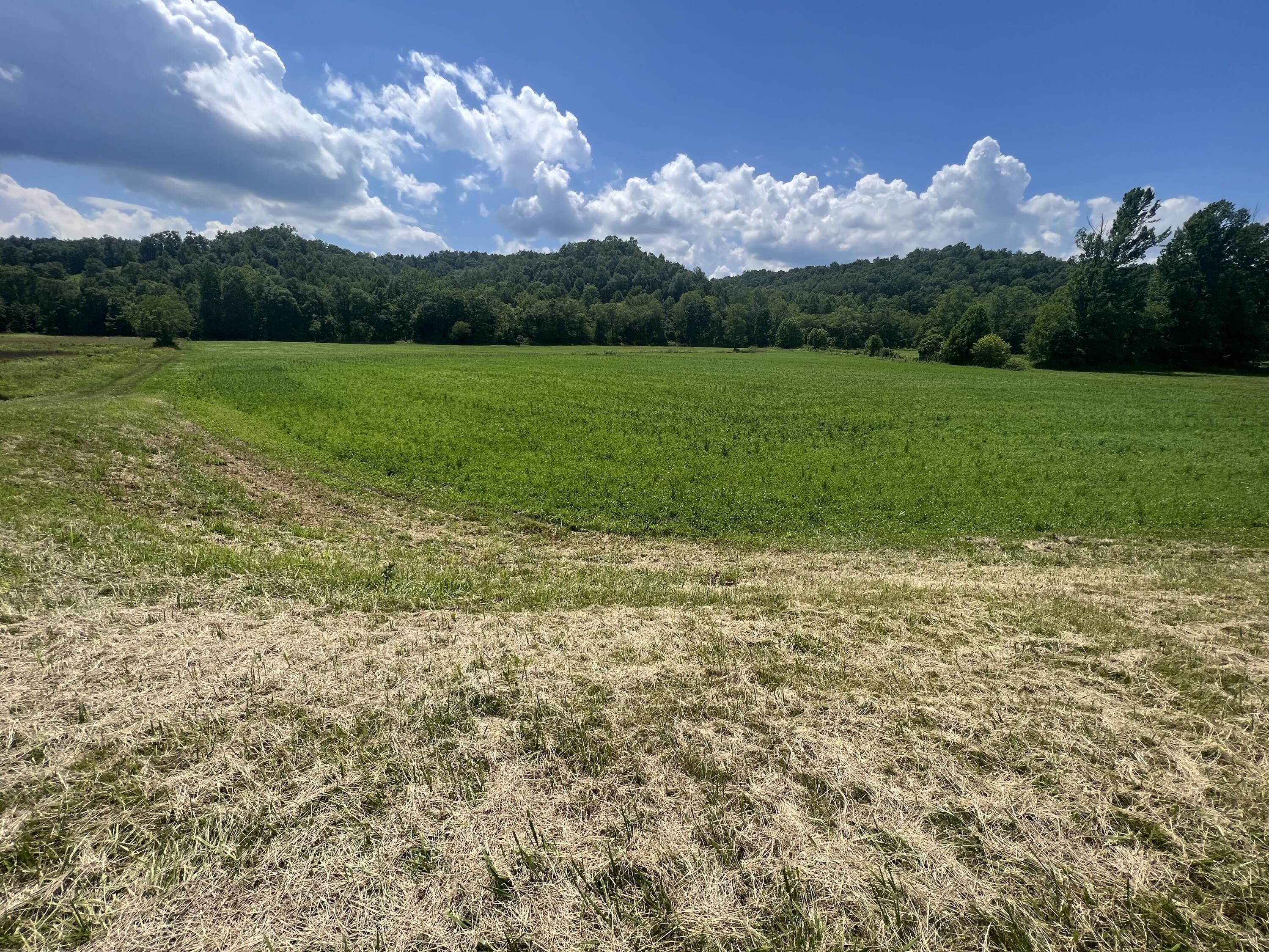 13 acres in Wolfe County, Kentucky