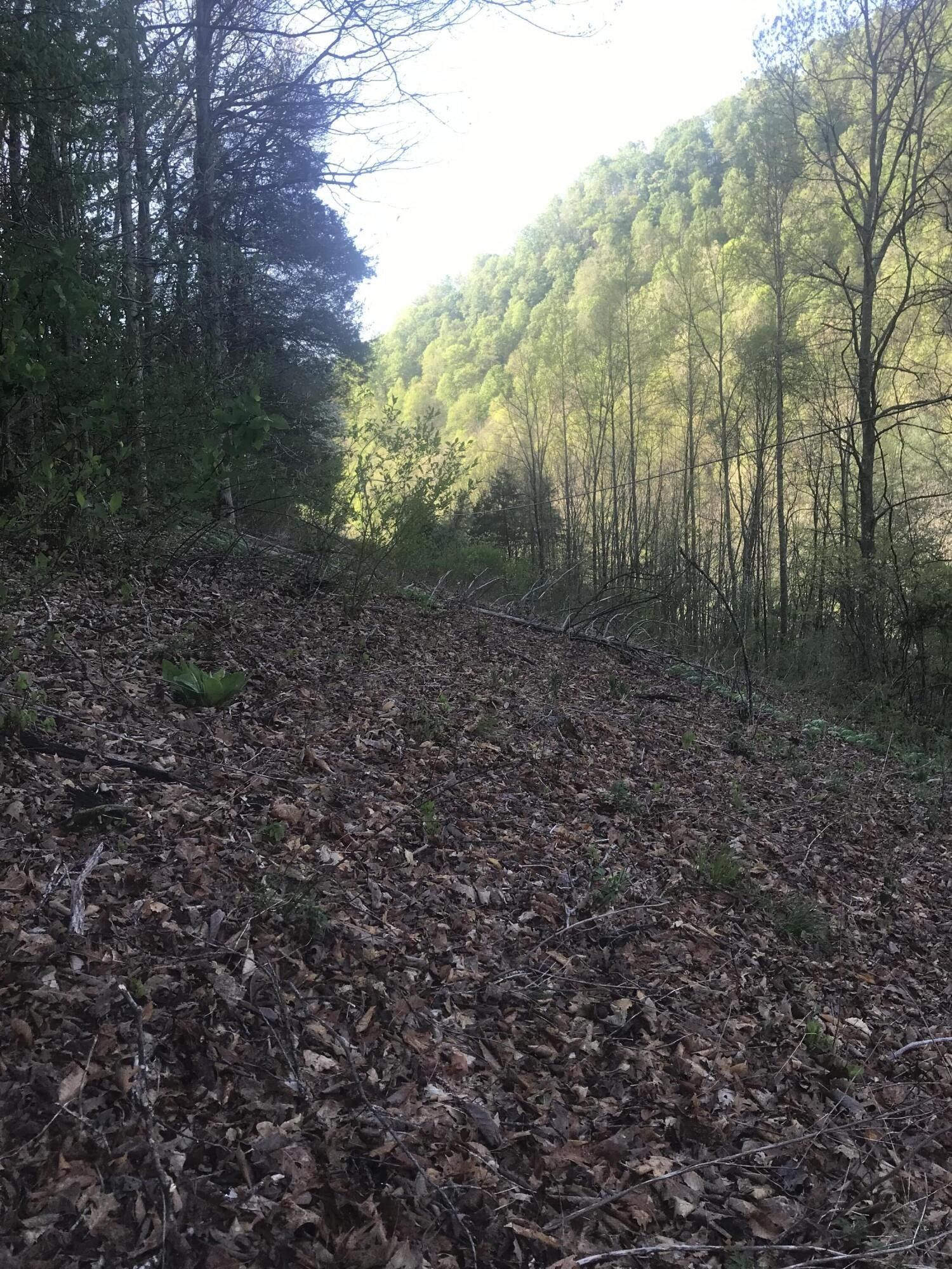 15 acres in Scott County, Virginia