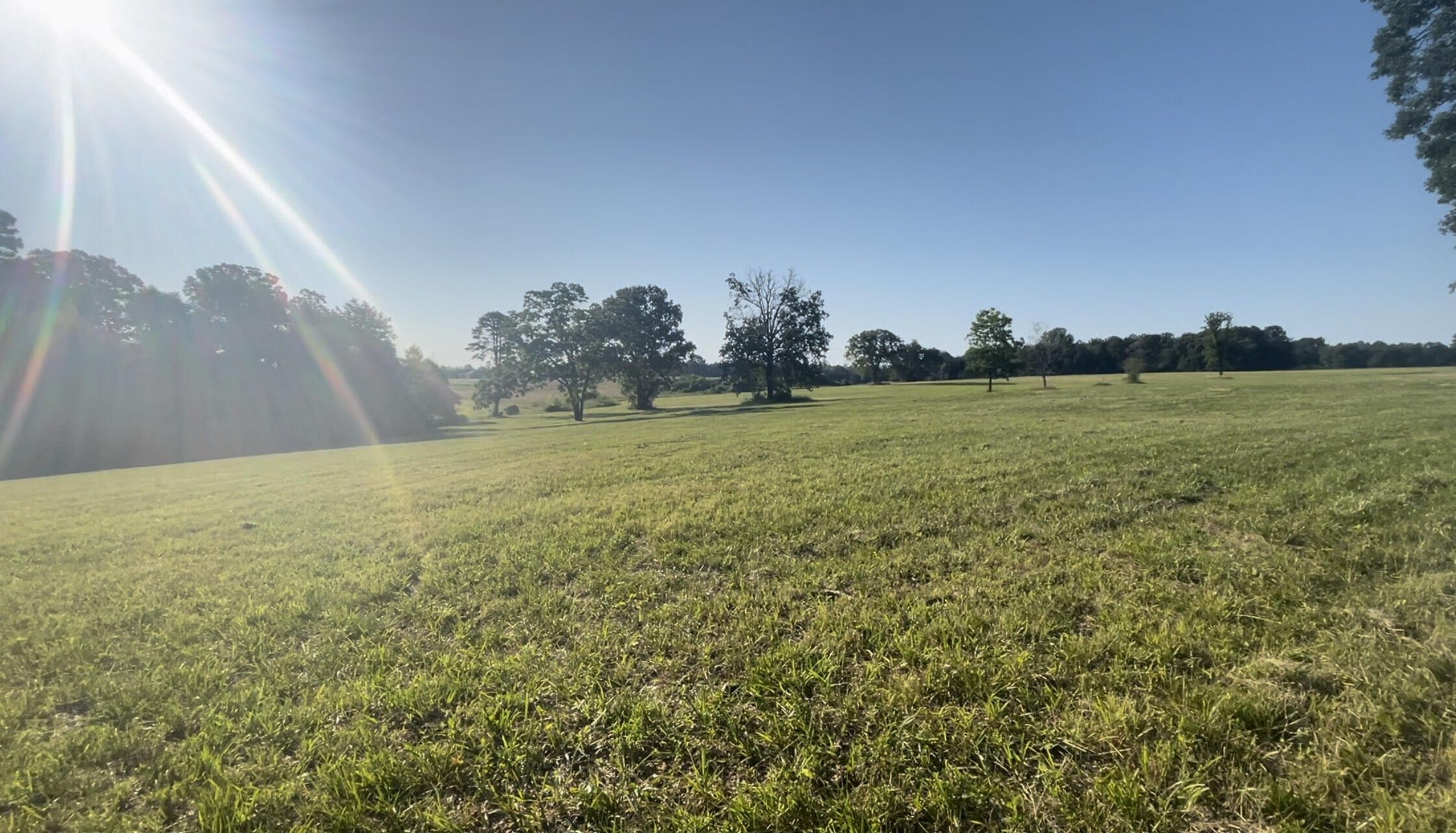 20 acres in Pope County, Arkansas