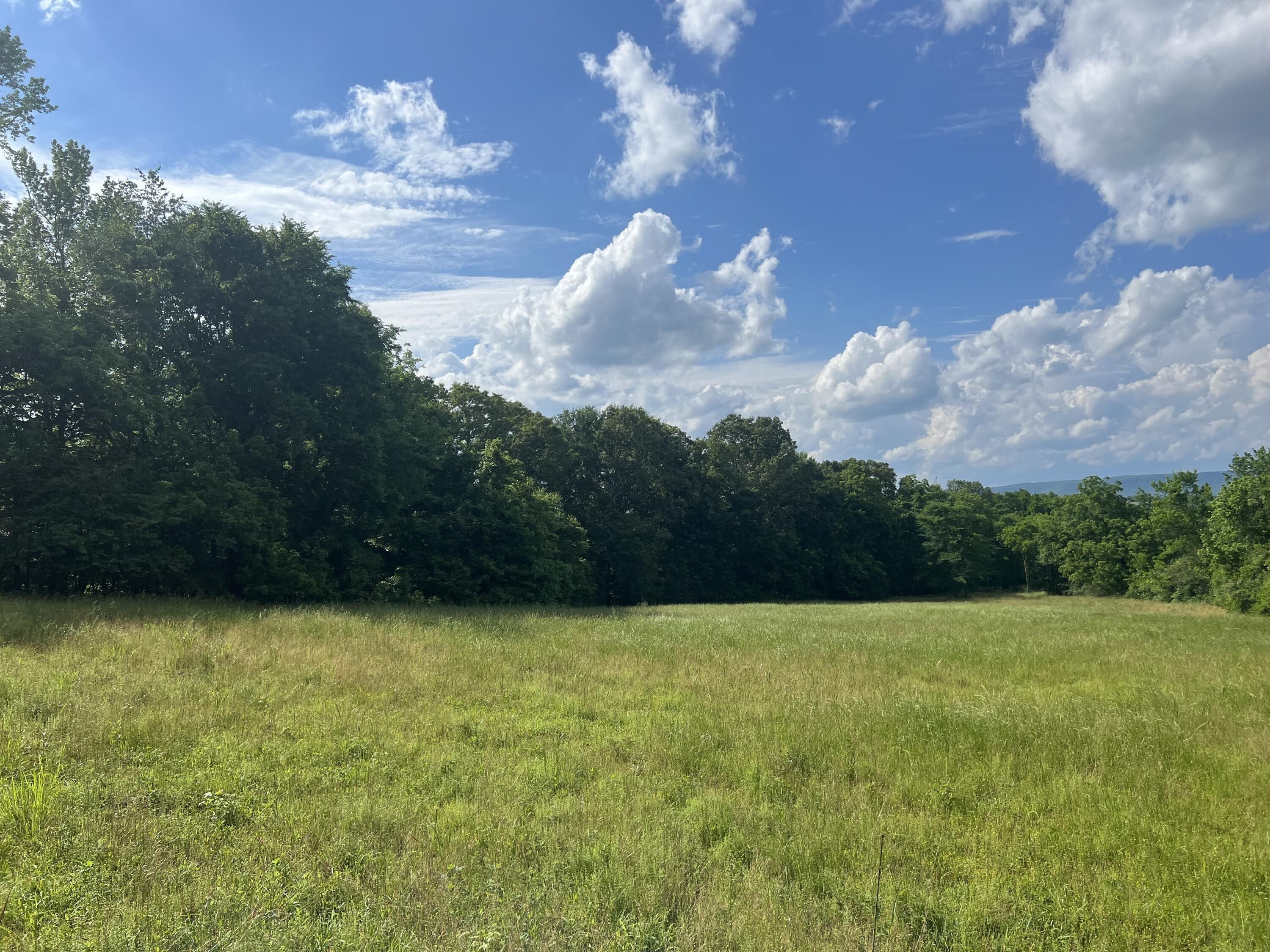 38.72 acres in Marion County, Tennessee