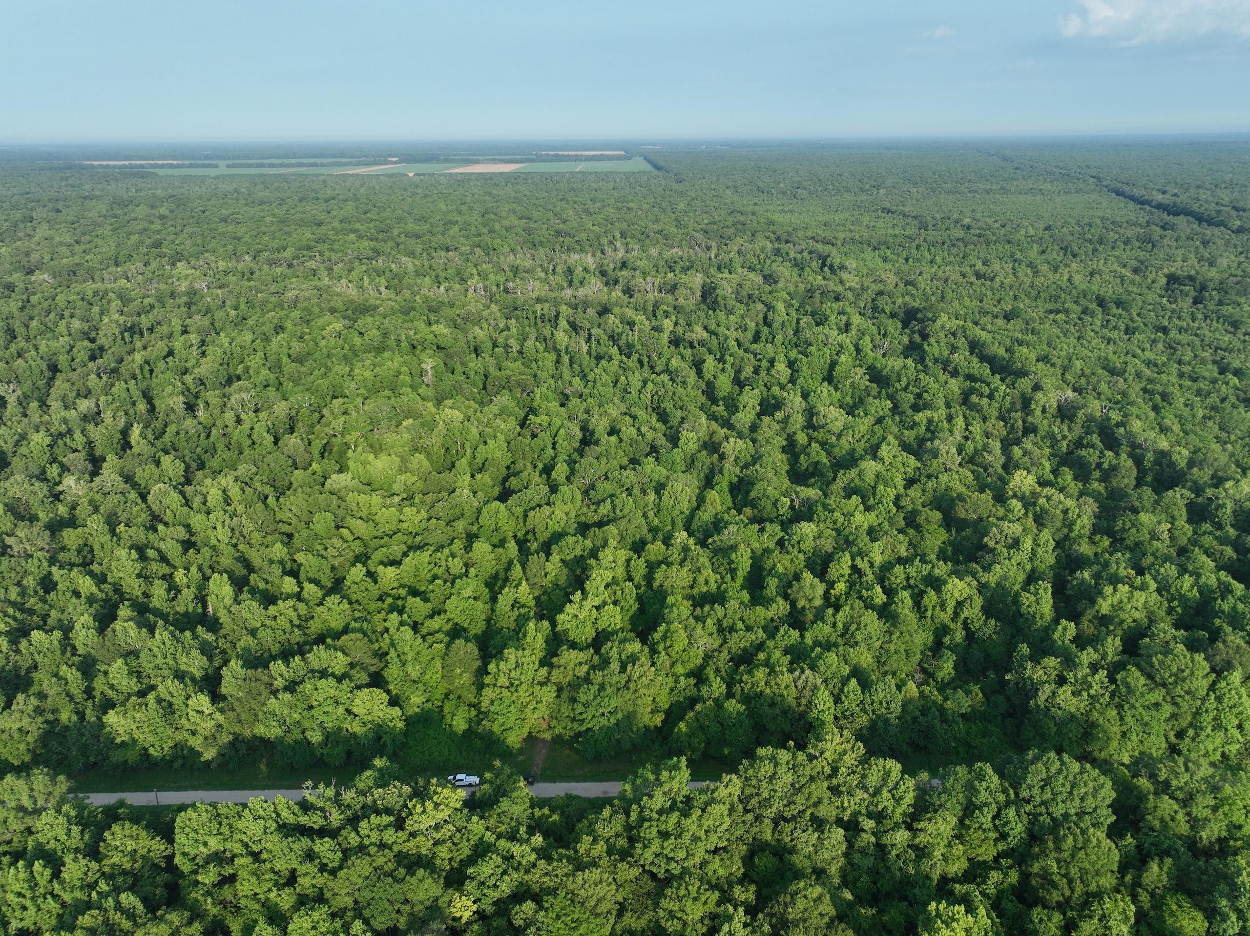 63 acres in Saint Landry Parish, Louisiana