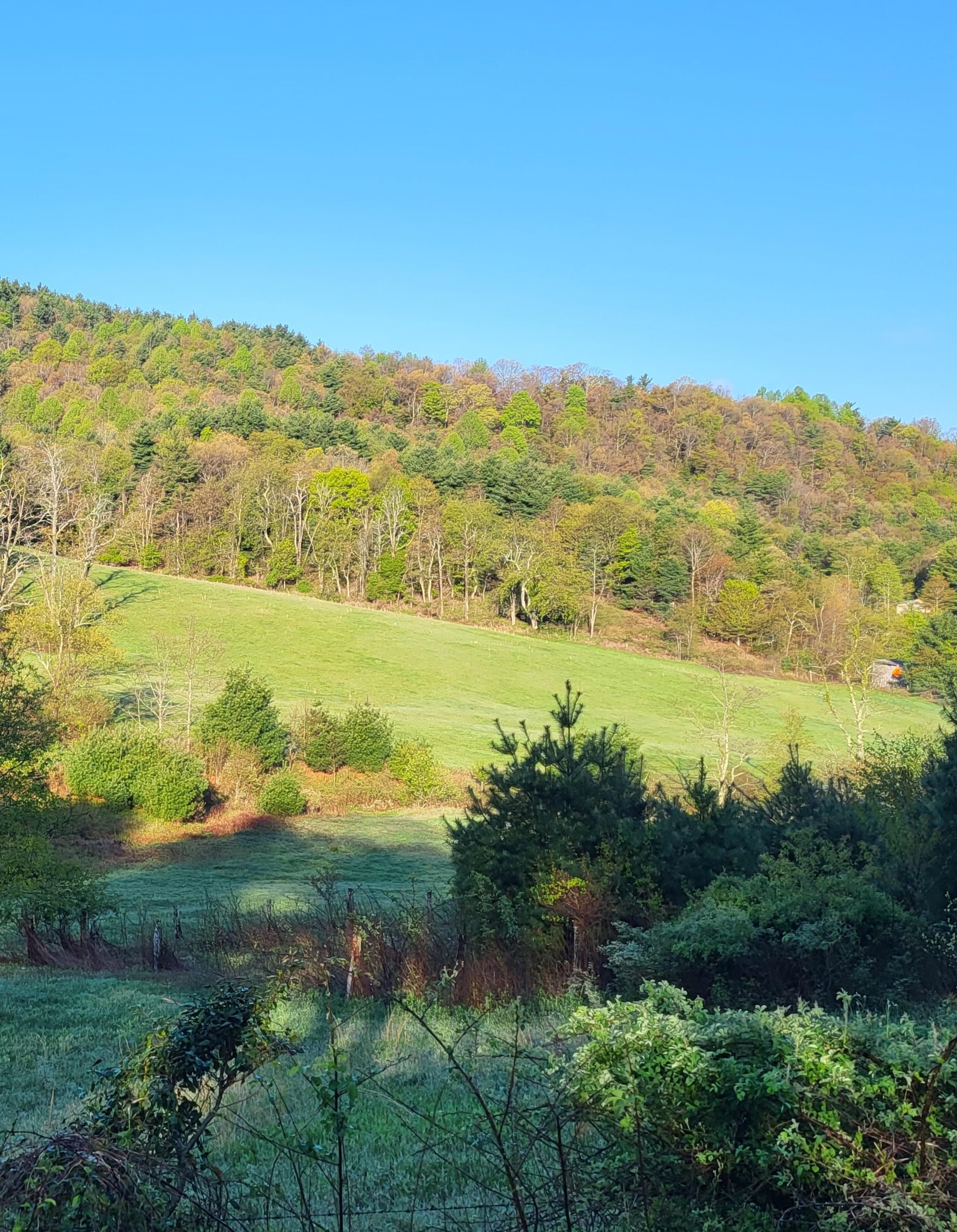 Ashe County Gis - z8hhbal
