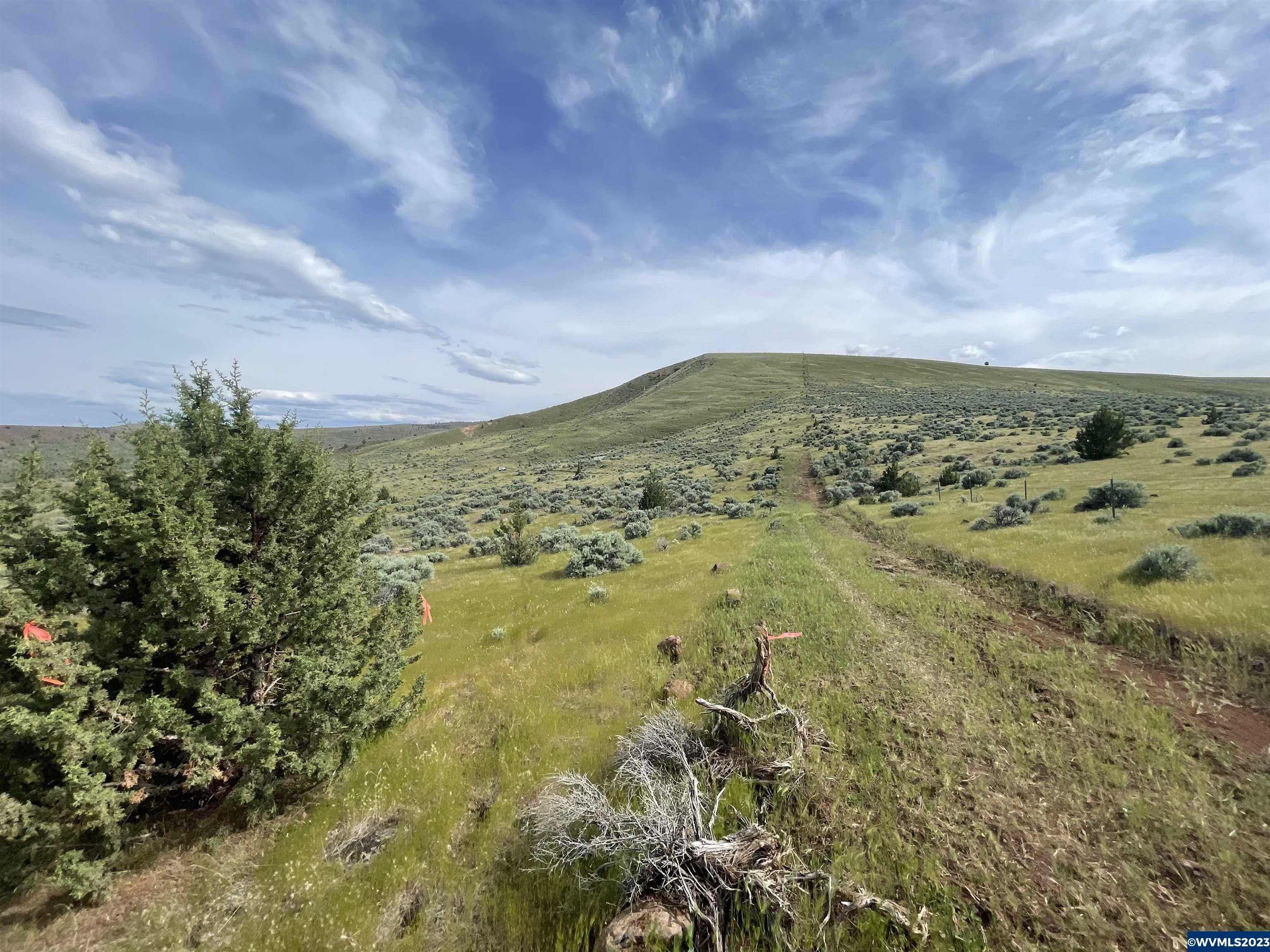 10 acres in Wheeler County, Oregon