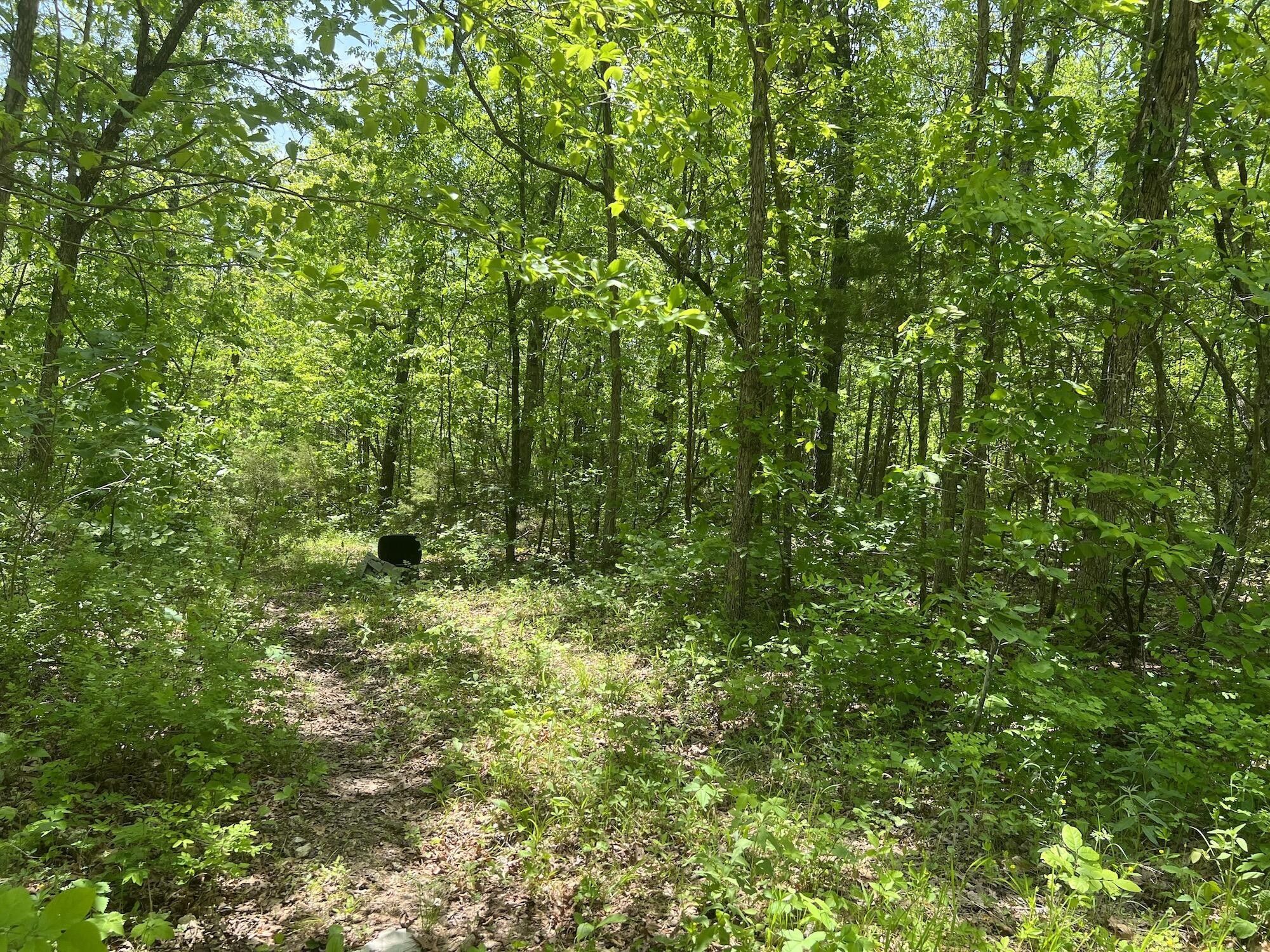 5 acres in Fulton County, Arkansas