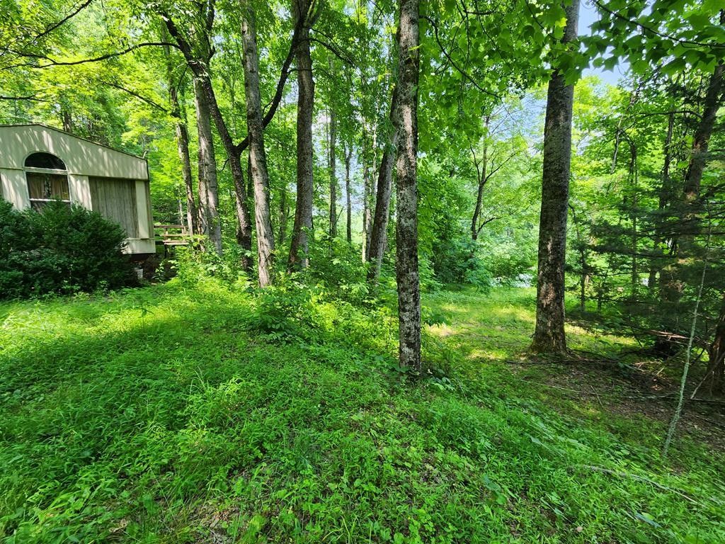 2 acres in Macon County, North Carolina