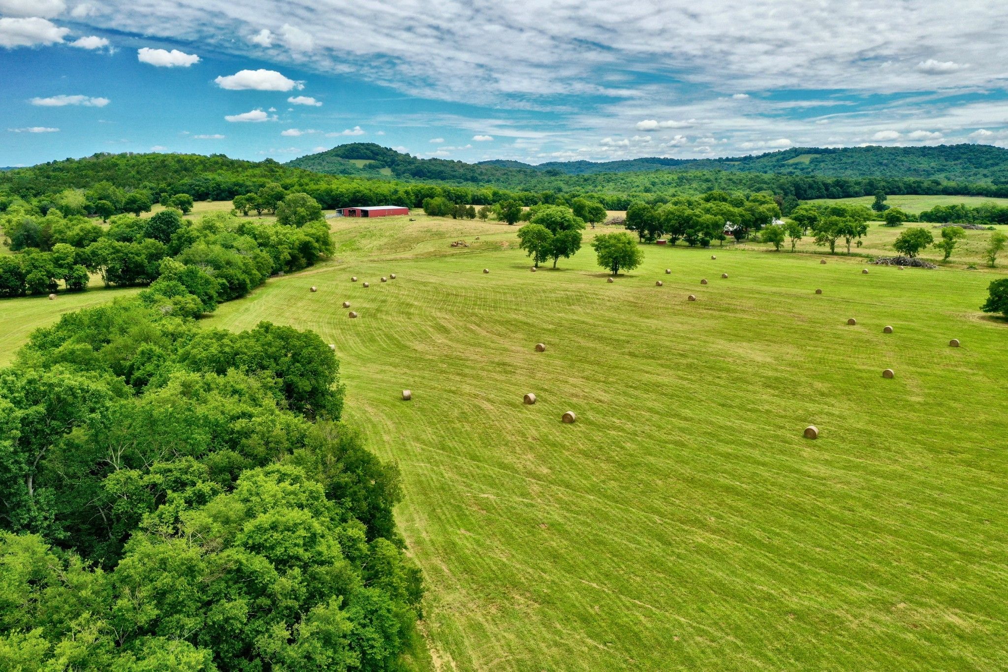 279 acres in Lincoln County, Tennessee