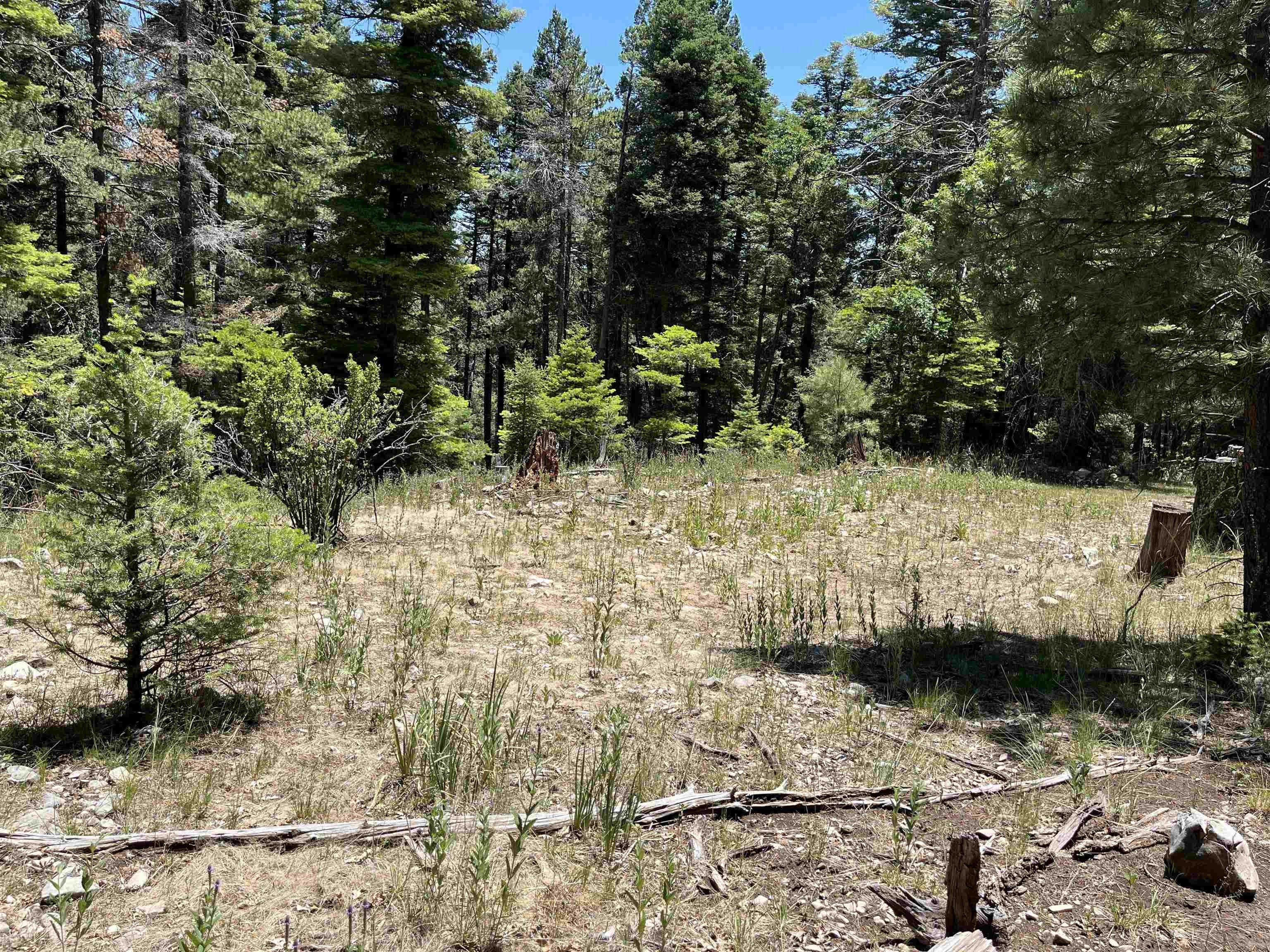 10 acres in Otero County, New Mexico