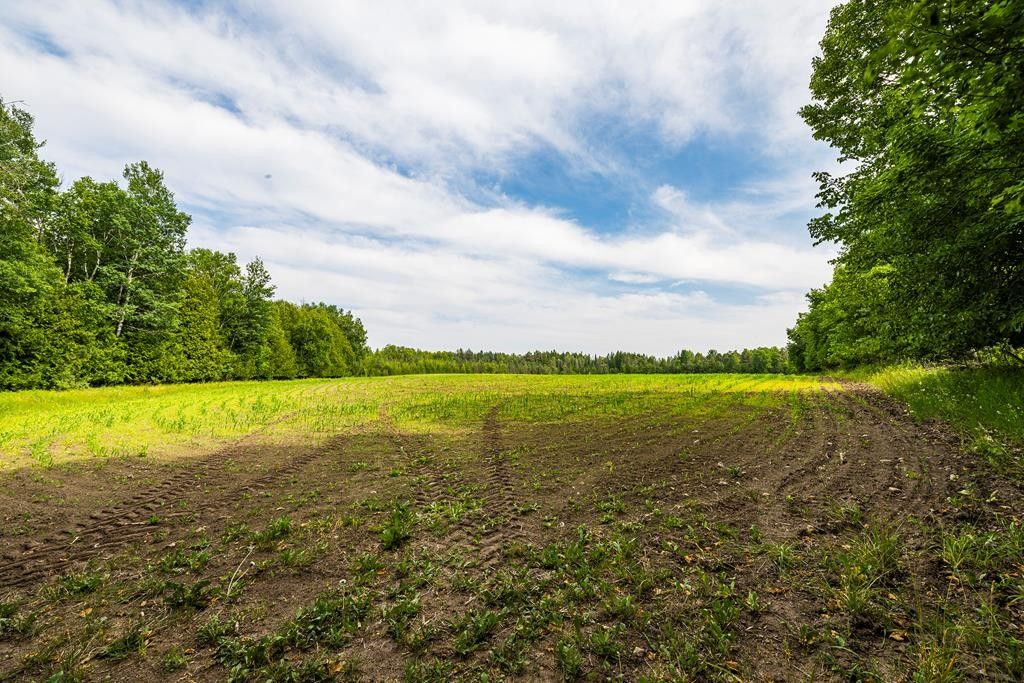 80 acres in Door County, Wisconsin