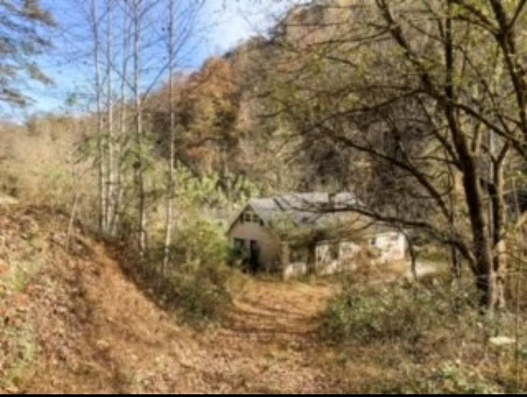 55 acres in Floyd County, Kentucky