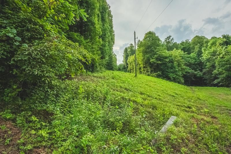 Woolwine Hwy, Woolwine, VA 24185