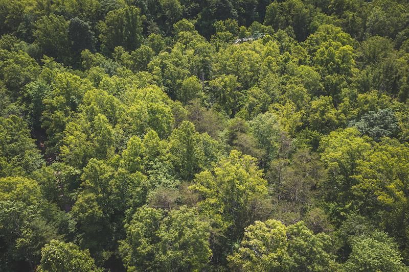 3.1 acres in Patrick County, Virginia