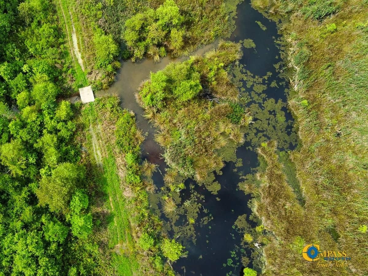 275 acres in Ridgeville, SC, 29472