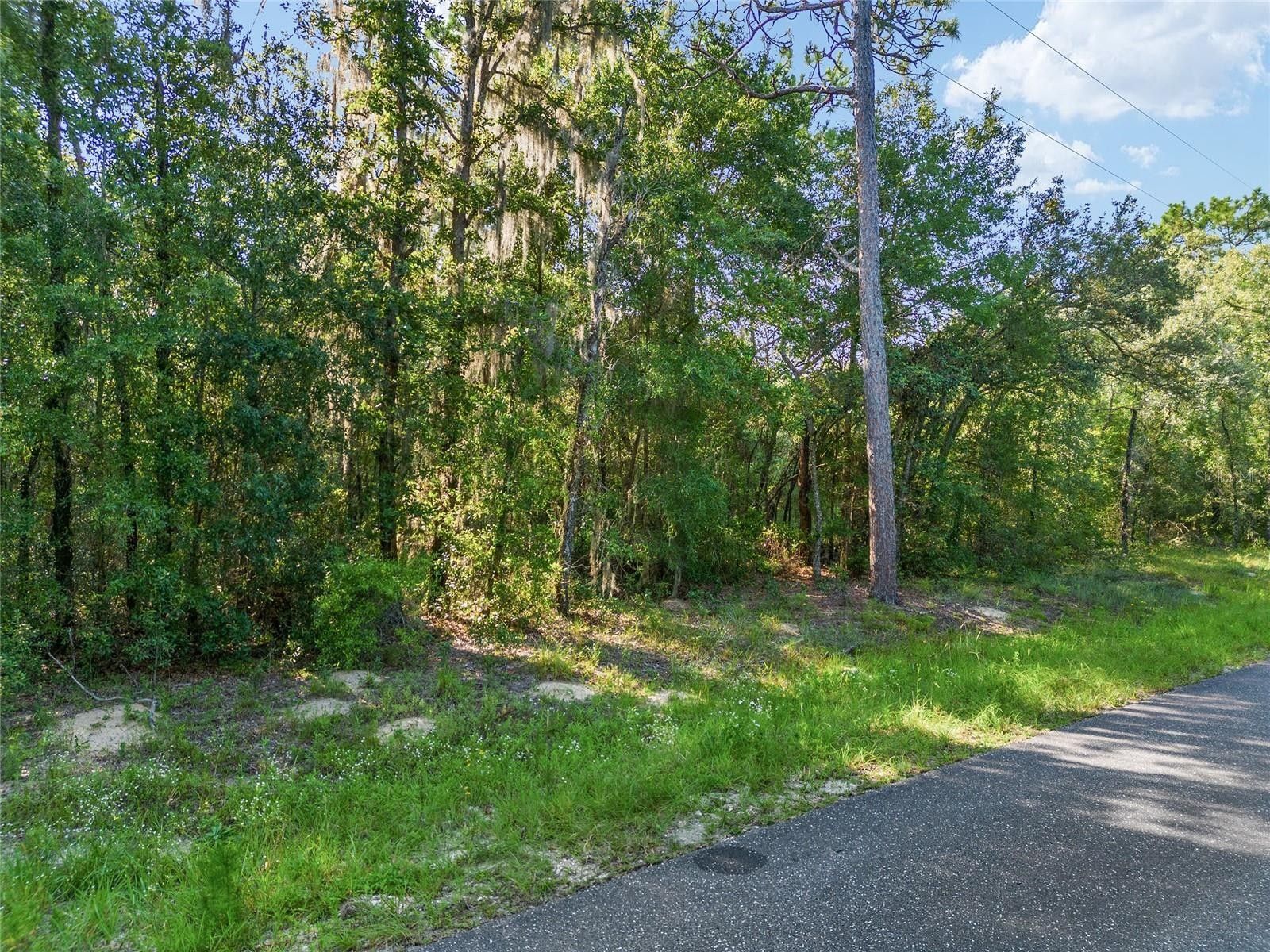4.67 acres in Levy County, Florida