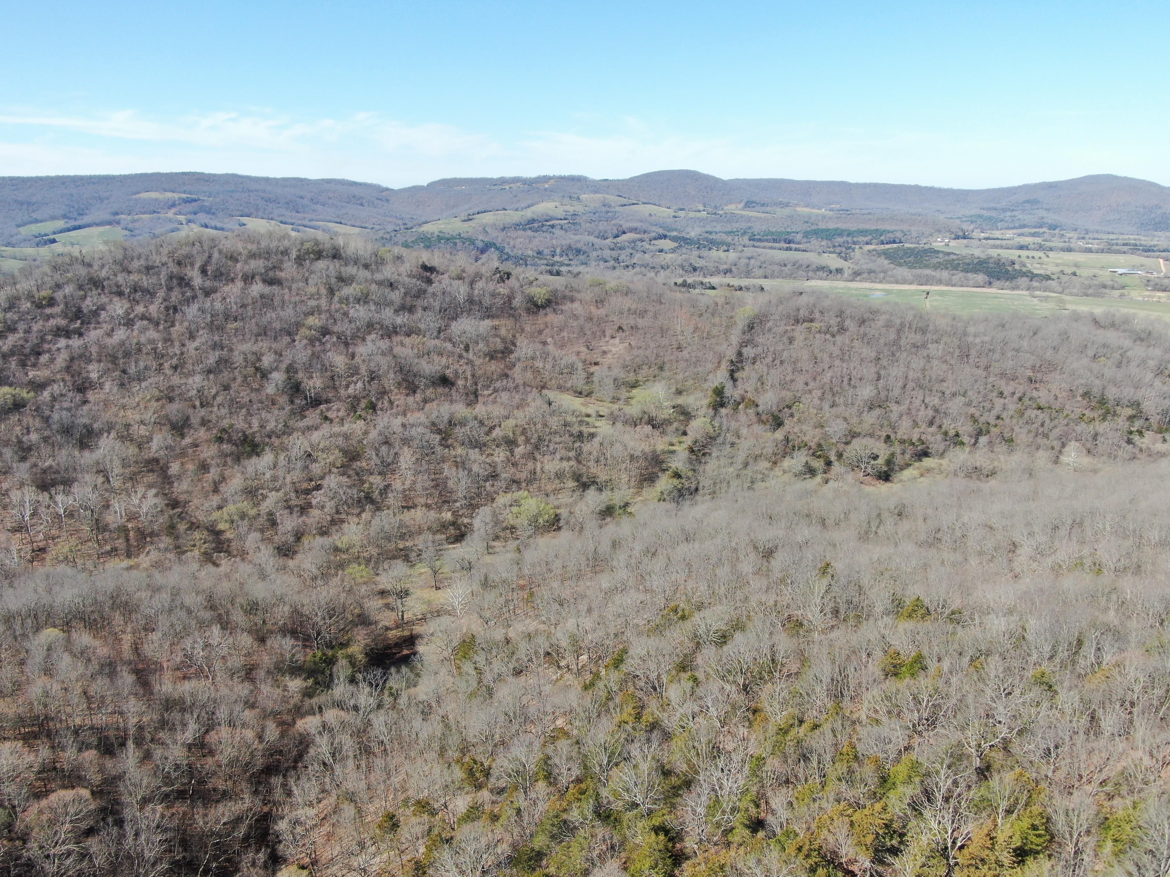 County Rd 995 Green Forest, AR 72638, Green Forest, AR 72638