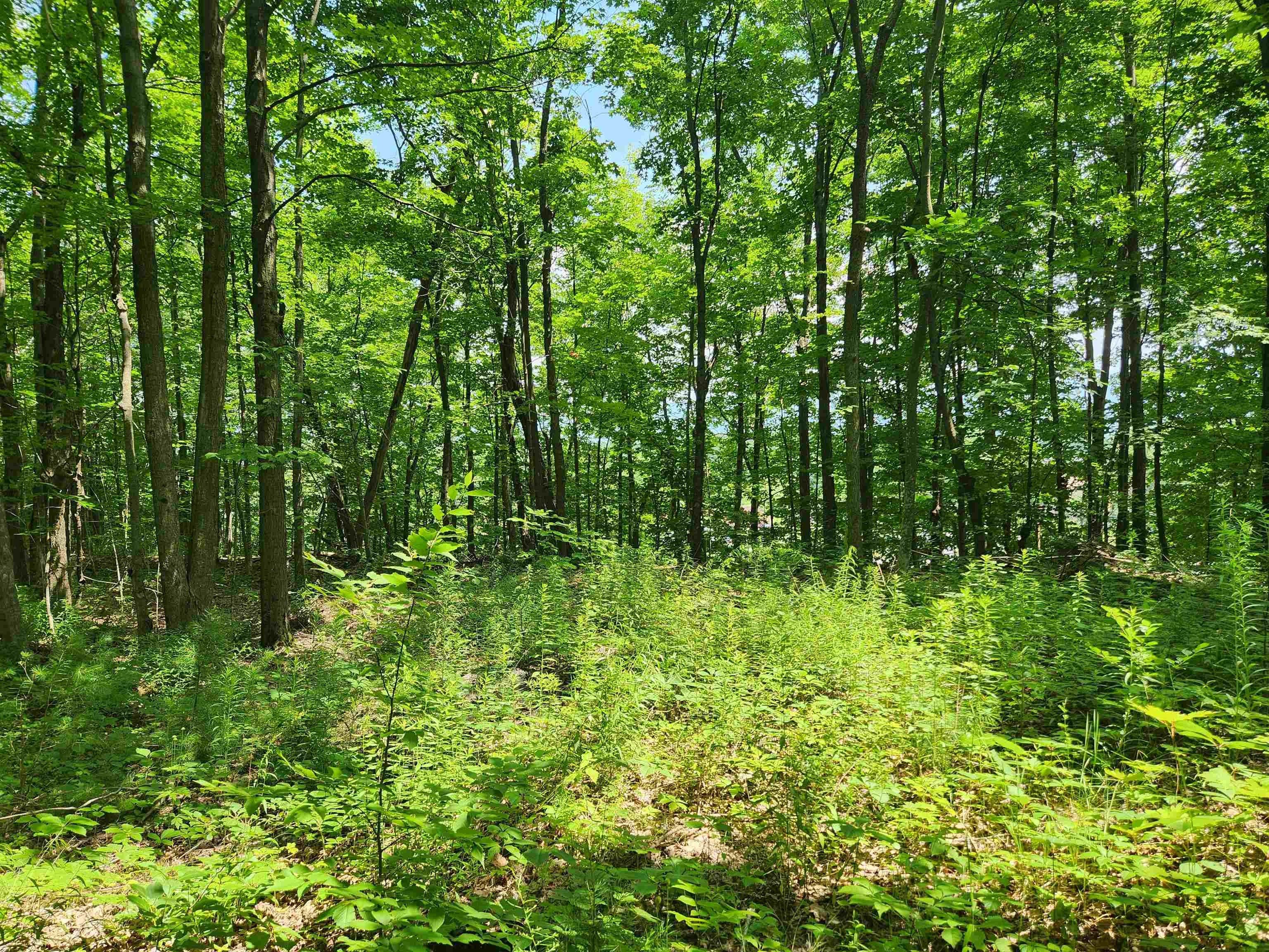 4.2 acres in Addison County, Vermont
