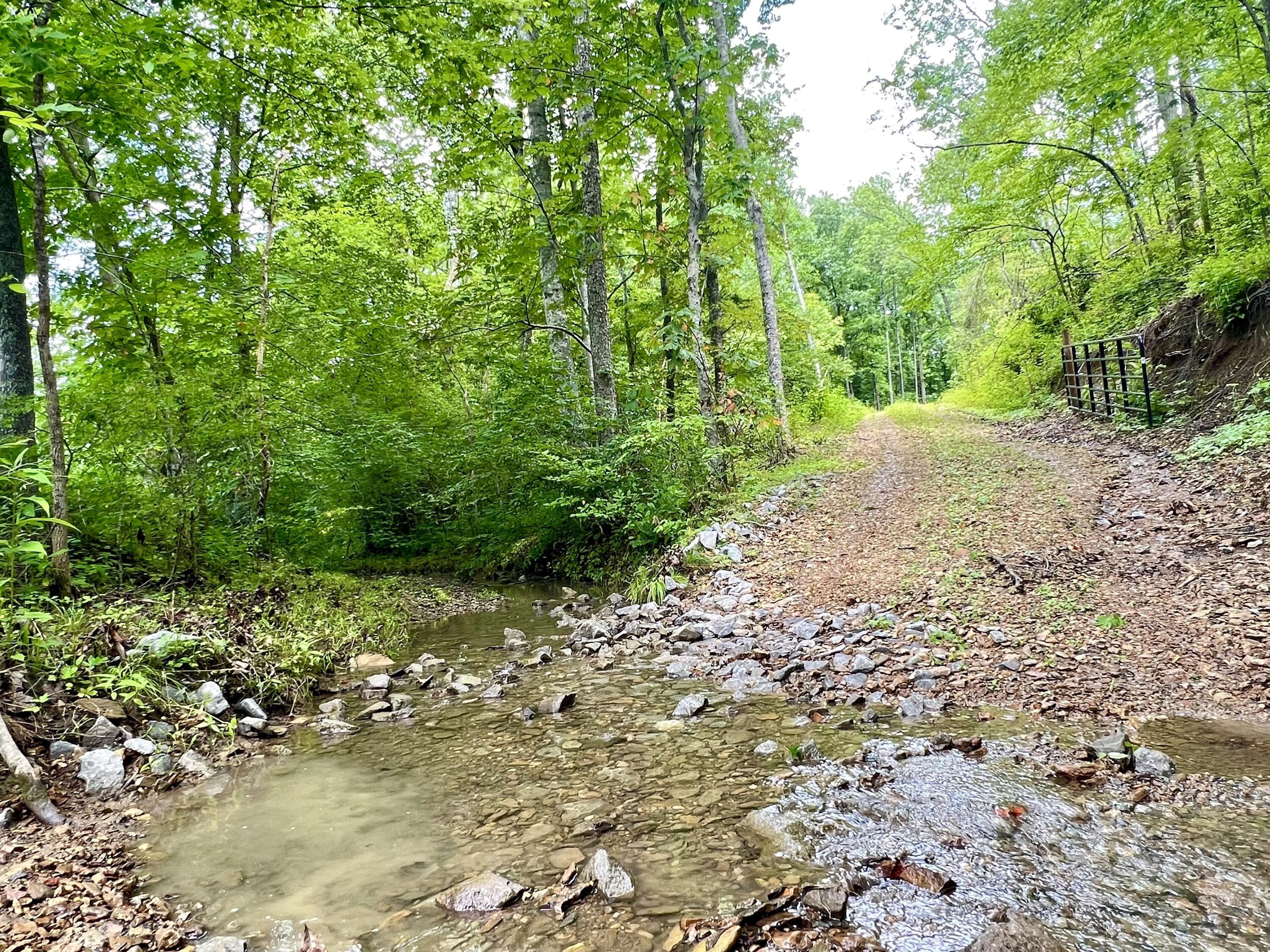 13.7 acres in Casey County, Kentucky