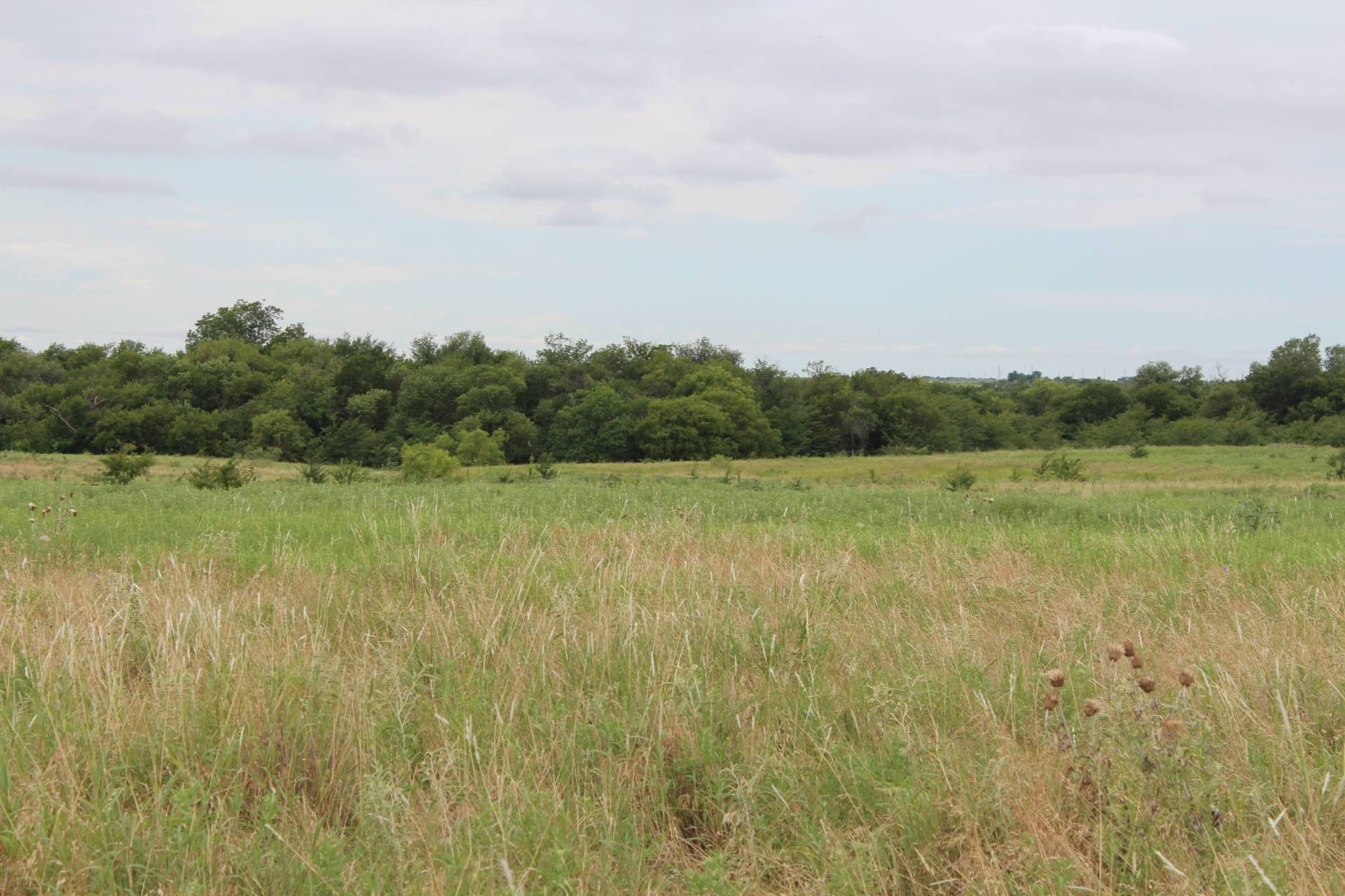 40 acres in Comanche County, Oklahoma