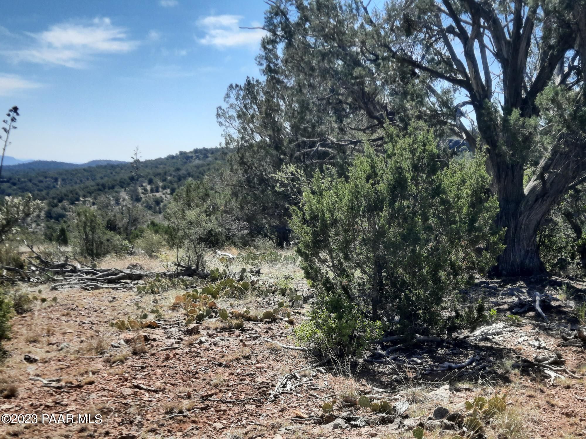 40 acres in Yavapai County, Arizona