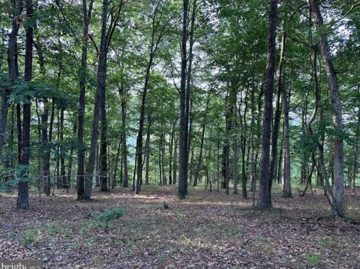 CAP BOX DRIVE, Springfield, WV 26763 MLS WVHS2003512