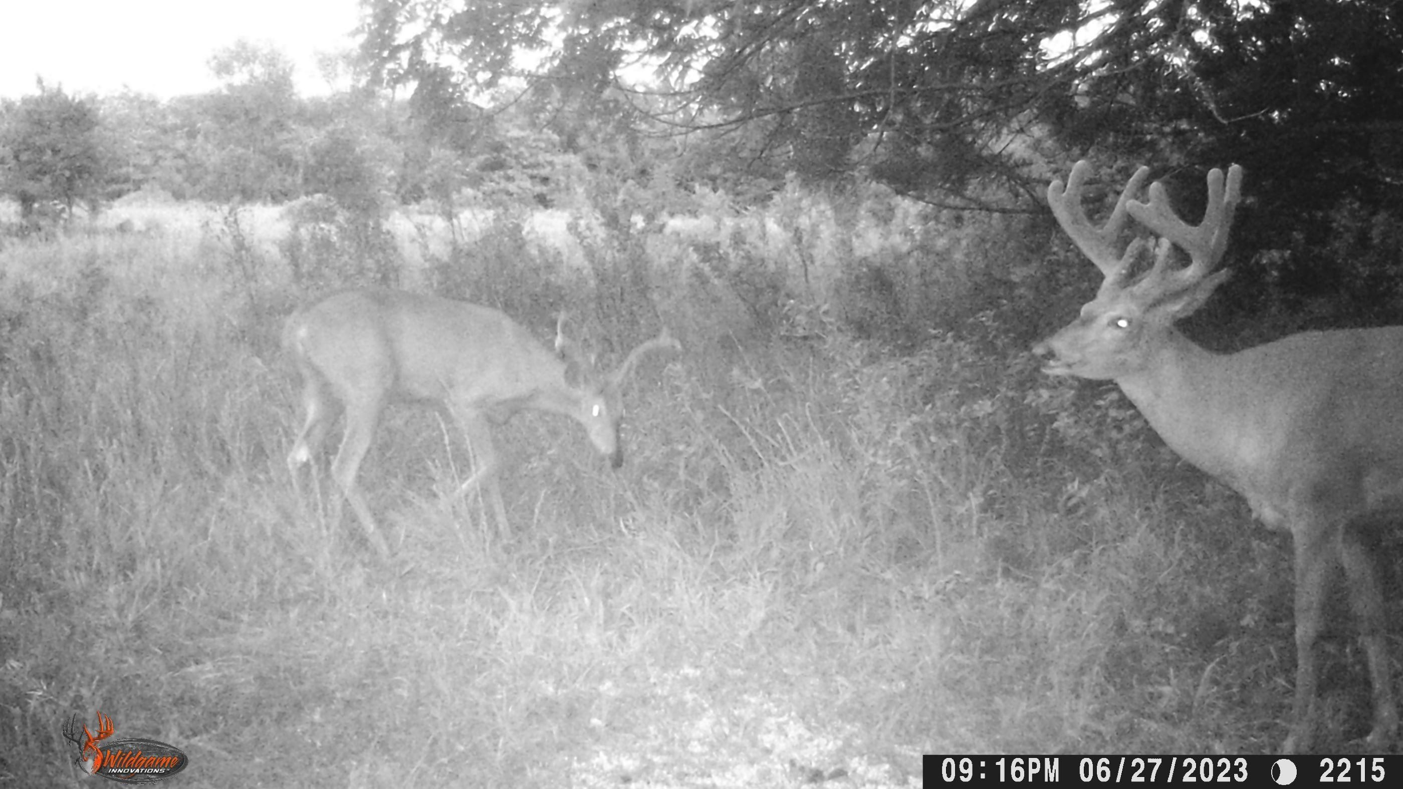 80 acres in Lyon County, Kansas