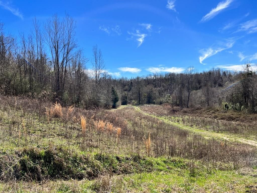 257 acres in Adams County, Mississippi